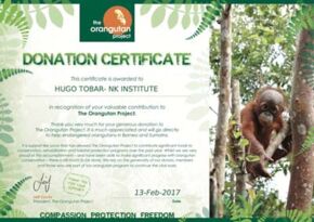 Orangutan donation