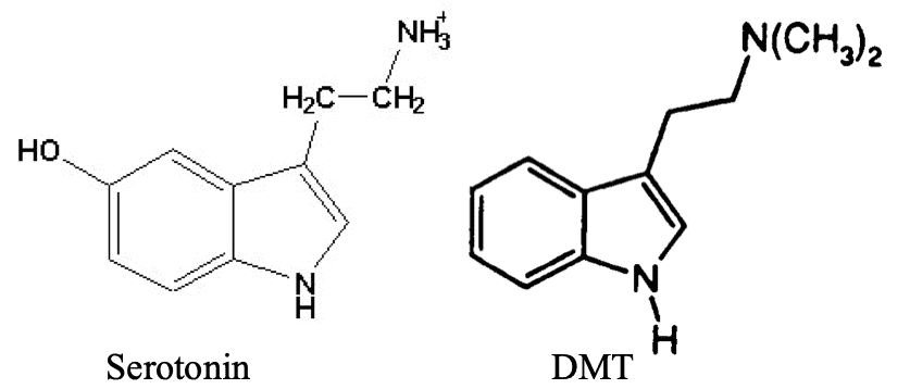 The Chemical structures of Serotonin and DMT